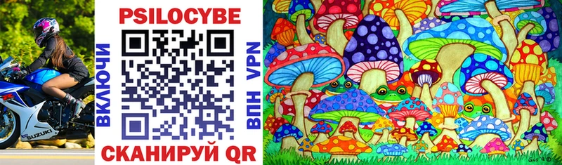 Купить закладки  Белебей  Галлюциногенные грибы Psilocybe 